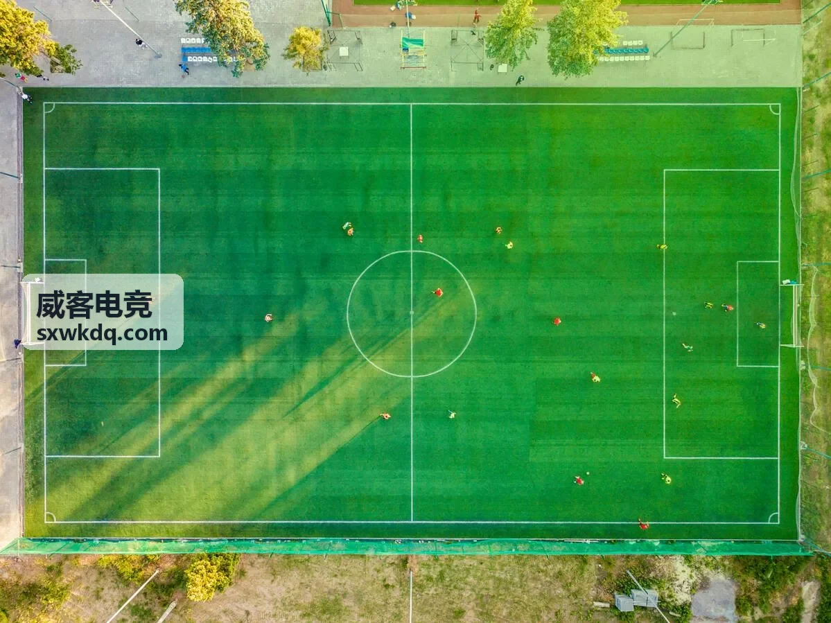 威客电竞数据战场背景